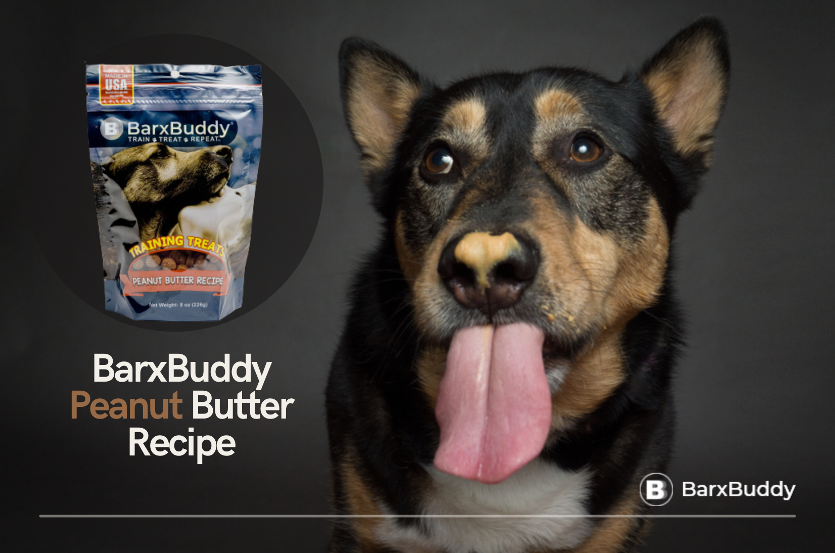 My Dog Absolutely Loves The BarxBuddy Peanut Butter Recipe